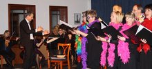 Faschingskonzert der Landesmusikschule am Samstag,  6. Februar 2016
