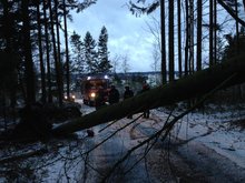 Sturmschaden in Vordersteining, Foto: FF-Steining am Freitag,  6. Dezember 2013