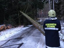 Sturmschaden in Vordersteining, Foto: FF-Steining am Freitag,  6. Dezember 2013