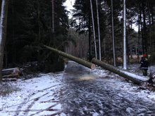 Sturmschaden in Vordersteining, Foto: FF-Steining am Freitag,  6. Dezember 2013