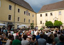 Das Jugendorchester beim Musikcamp in Lambach (Foto: Marktmusikkapelle Frankenburg) am Dienstag, 28. Juli 2015