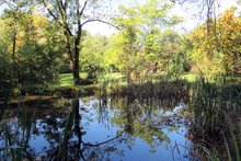 Foto (von Alexander Schmid): Der Botanische Garten Frankenburg im Oktober