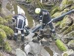 Übergelaufene Gülle gelangte in Altbach am Samstag,  2. April 2016, Copyright siehe www.meinbezirk.at