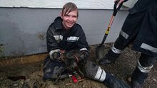 Tierrettung am Sonntag,  1. Mai 2016