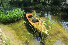 Foto (von Wilhelm Frickh): Der Wassergarten von Familie Wenninger