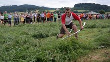 Haupt´s a gscheide Schneid? am Dienstag, 19. Juli 2016