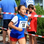 Das war der Würfelspiellauf 2016 am Mittwoch,  7. September 2016, Copyright siehe www.meinbezirk.at