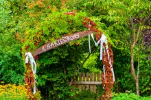 Die erste Gartenroas im Sommer 2015 (Foto: Preuners Gast-Garten, Erwin Preuner) am Samstag, 17. Dezember 2016