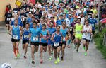 31. Lauf am Vöckla-Ufer am Mittwoch,  7. Juni 2017, Copyright siehe www.meinbezirk.at