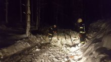 Technischer Einsatz am Samstag, 12. Januar 2019