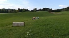 Minijugend übung am Freitag,  3. Mai 2019
