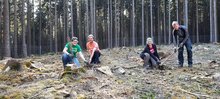 Landjugend Frankenburg pflanzte über 1.250 Setzlinge am Freitag,  7. Mai 2021, Copyright siehe www.meinbezirk.at